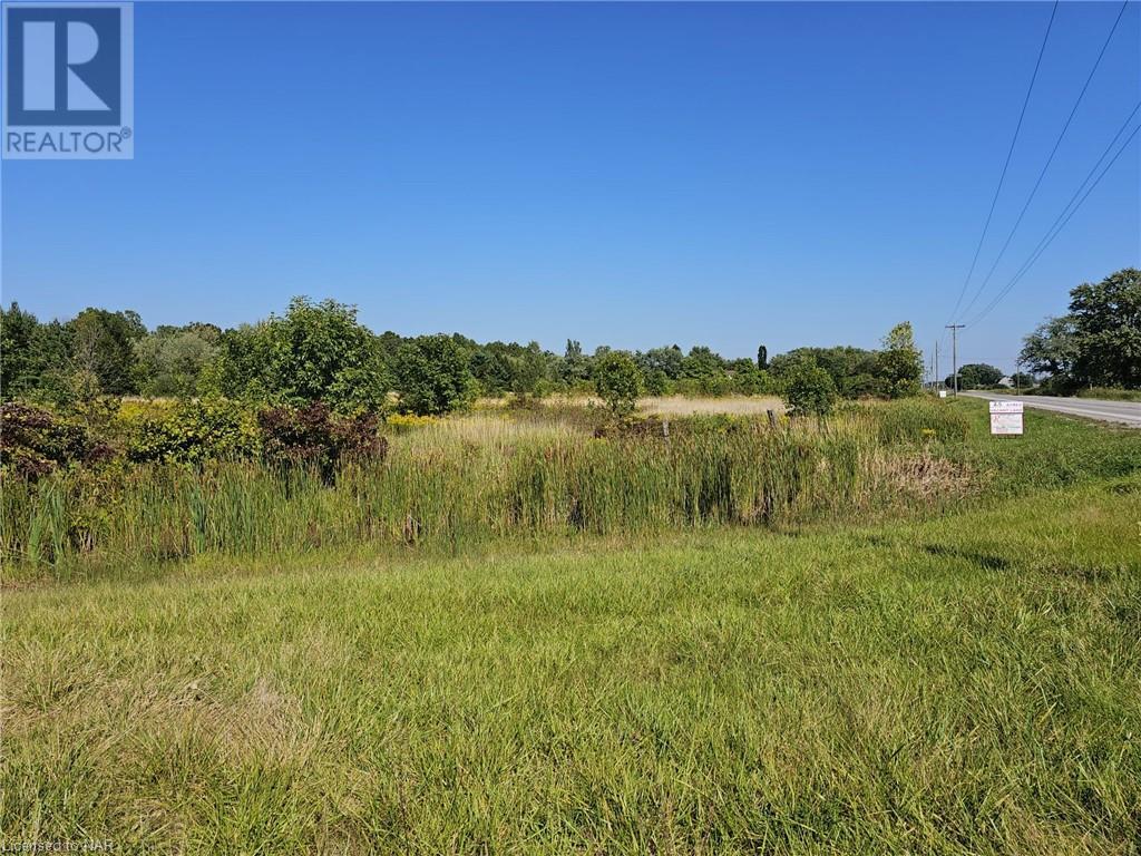 V/l Ne Corner Of Forks Rd W & O'reilly's Rd S, Wainfleet, Ontario  L0S 1V0 - Photo 3 - 40470256