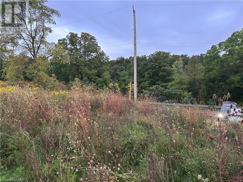 N/a Spring Creek Road, Vineland, Ontario  L0R 2C0 - Photo 10 - 40642370