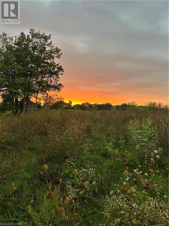 N/a Spring Creek Road, Vineland, Ontario  L0R 2C0 - Photo 2 - 40642370