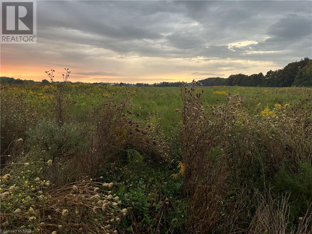 N/a Spring Creek Road, Vineland, Ontario  L0R 2C0 - Photo 6 - 40642370