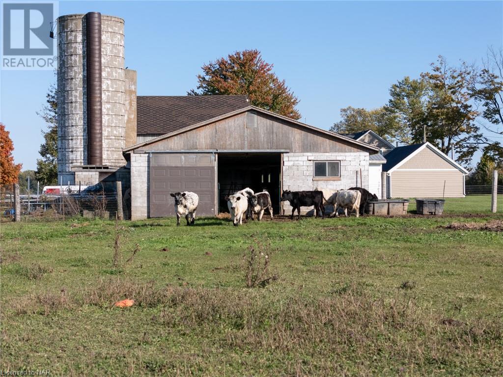 4692 Gilmore Road, Stevensville, Ontario  L0S 1N0 - Photo 45 - 40666903