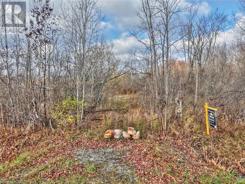 0-5682 Dominion Road, Fort Erie (335 - Ridgeway), Ontario  L0S 1N0 - Photo 13 - X10420105