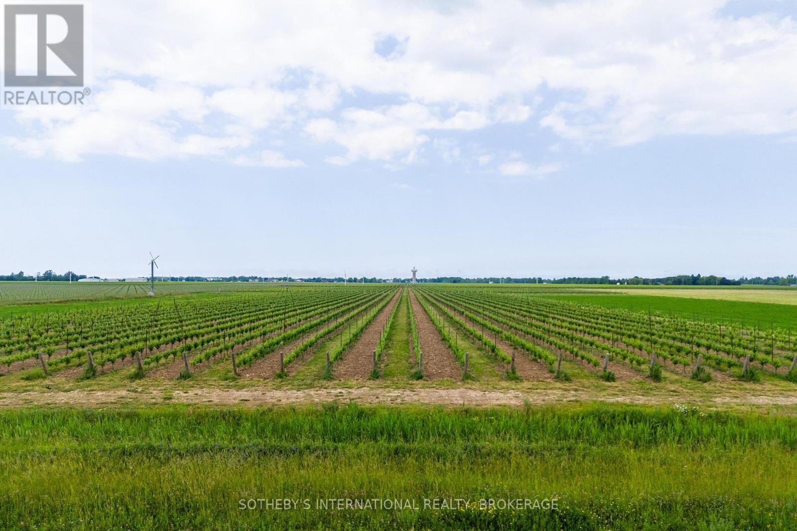 500 Line 5 Road, Niagara-On-The-Lake, Ontario  L0S 1J0 - Photo 2 - X8418476