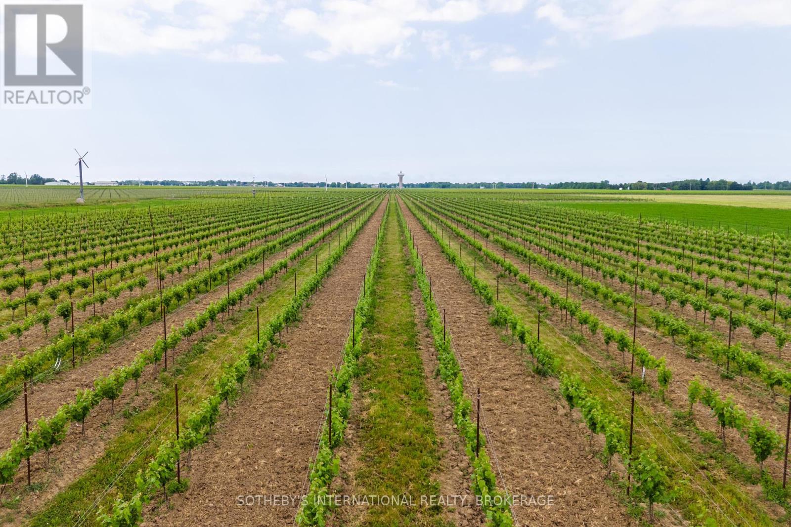 500 Line 5 Road, Niagara-On-The-Lake, Ontario  L0S 1J0 - Photo 3 - X8418476