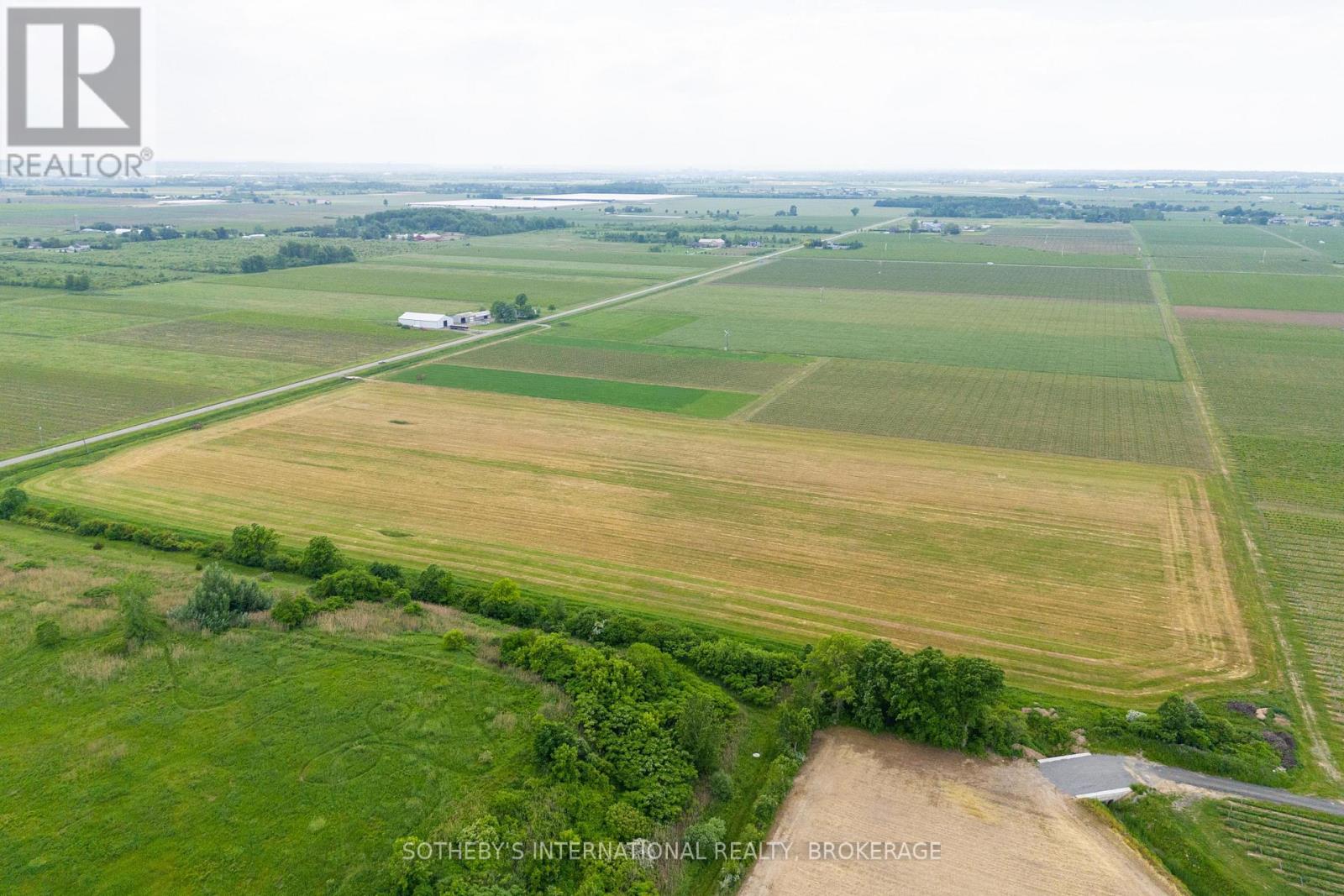 500 Line 5 Road, Niagara-On-The-Lake, Ontario  L0S 1J0 - Photo 5 - X8418476