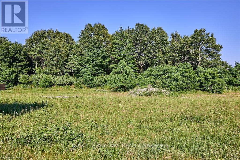 Lot 9 Balfour Street, Pelham (664 - Fenwick), Ontario  L0S 1C0 - Photo 3 - X11941814