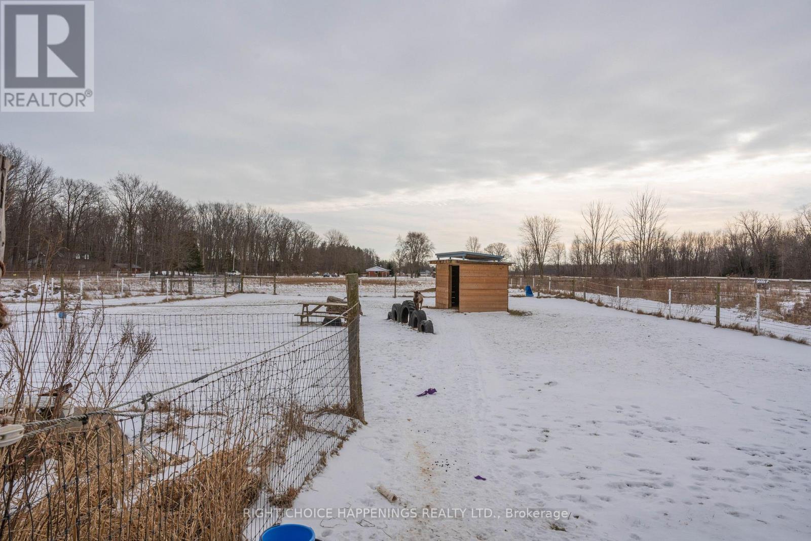 63058 Perry Road, Wainfleet (879 - Marshville/winger), Ontario  L0S 1V0 - Photo 20 - X11954587