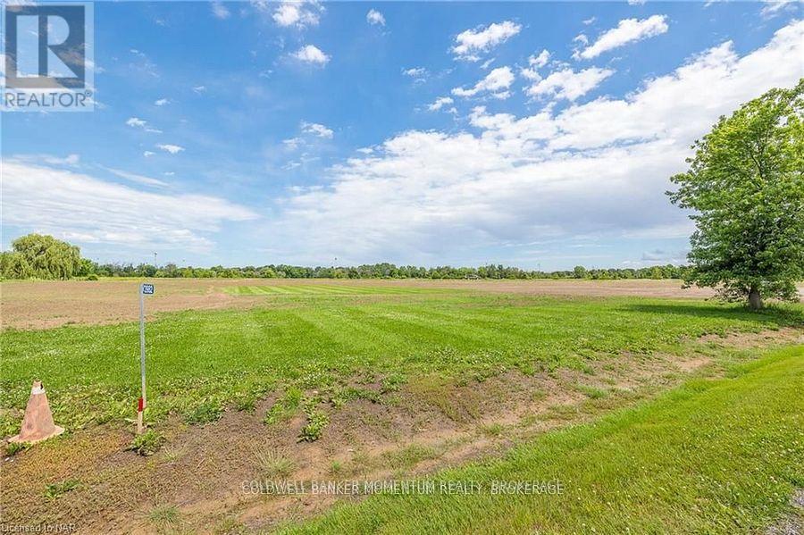 73978 River Road, Wainfleet, Ontario  L0R 2J0 - Photo 4 - X11962619