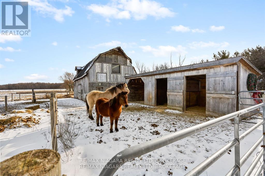 4609 Brookfield Road, Port Colborne (873 - Bethel), Ontario  L3B 5N7 - Photo 28 - X11969592