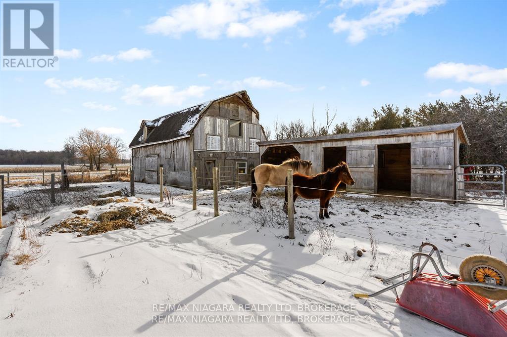 4609 Brookfield Road, Port Colborne (873 - Bethel), Ontario  L3B 5N7 - Photo 29 - X11969592