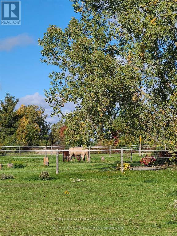 4609 Brookfield Road, Port Colborne (873 - Bethel), Ontario  L3B 5N7 - Photo 36 - X11969592