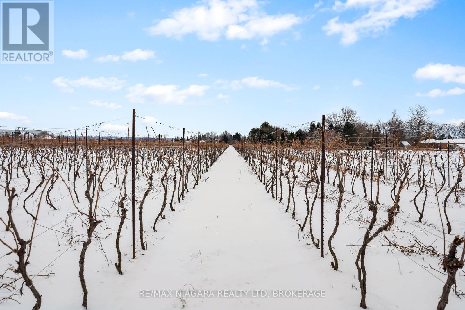 1074 Niagara Stone Road, Niagara-On-The-Lake, Ontario  L0S 1J0 - Photo 11 - X11949919