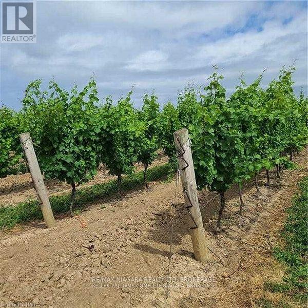 1074 Niagara Stone Road, Niagara-On-The-Lake, Ontario  L0S 1J0 - Photo 3 - X11949919