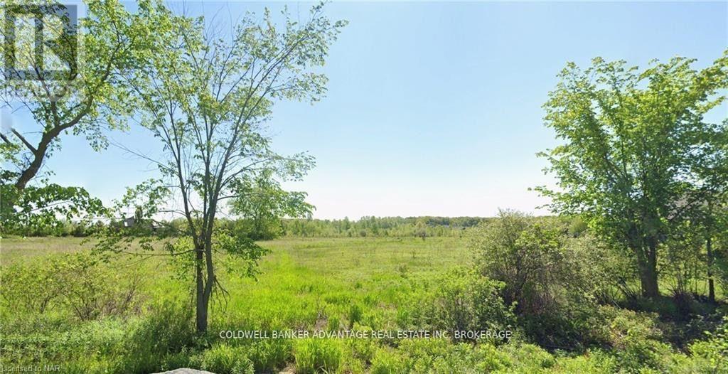 N/a Deeks Road, Wainfleet, Ontario  L0S 1V0 - Photo 5 - X12098707