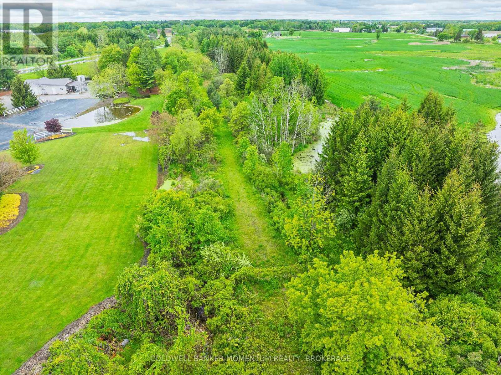 1969 Hutchinson Road, Haldimand, Ontario  N1A 2W2 - Photo 4 - X12176757