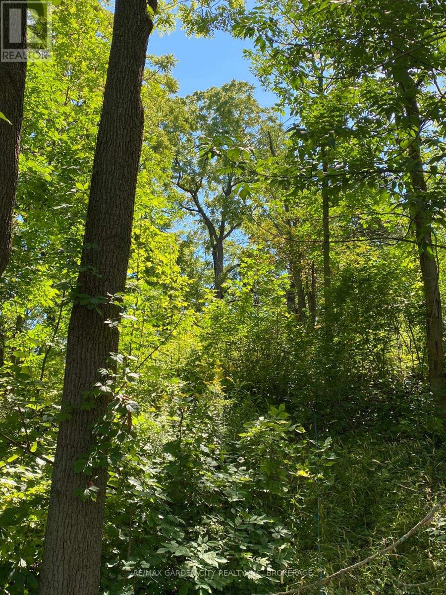 Pt Lt 3 Effingham Street, Pelham, Ontario  L2R 6P7 - Photo 6 - X12264575