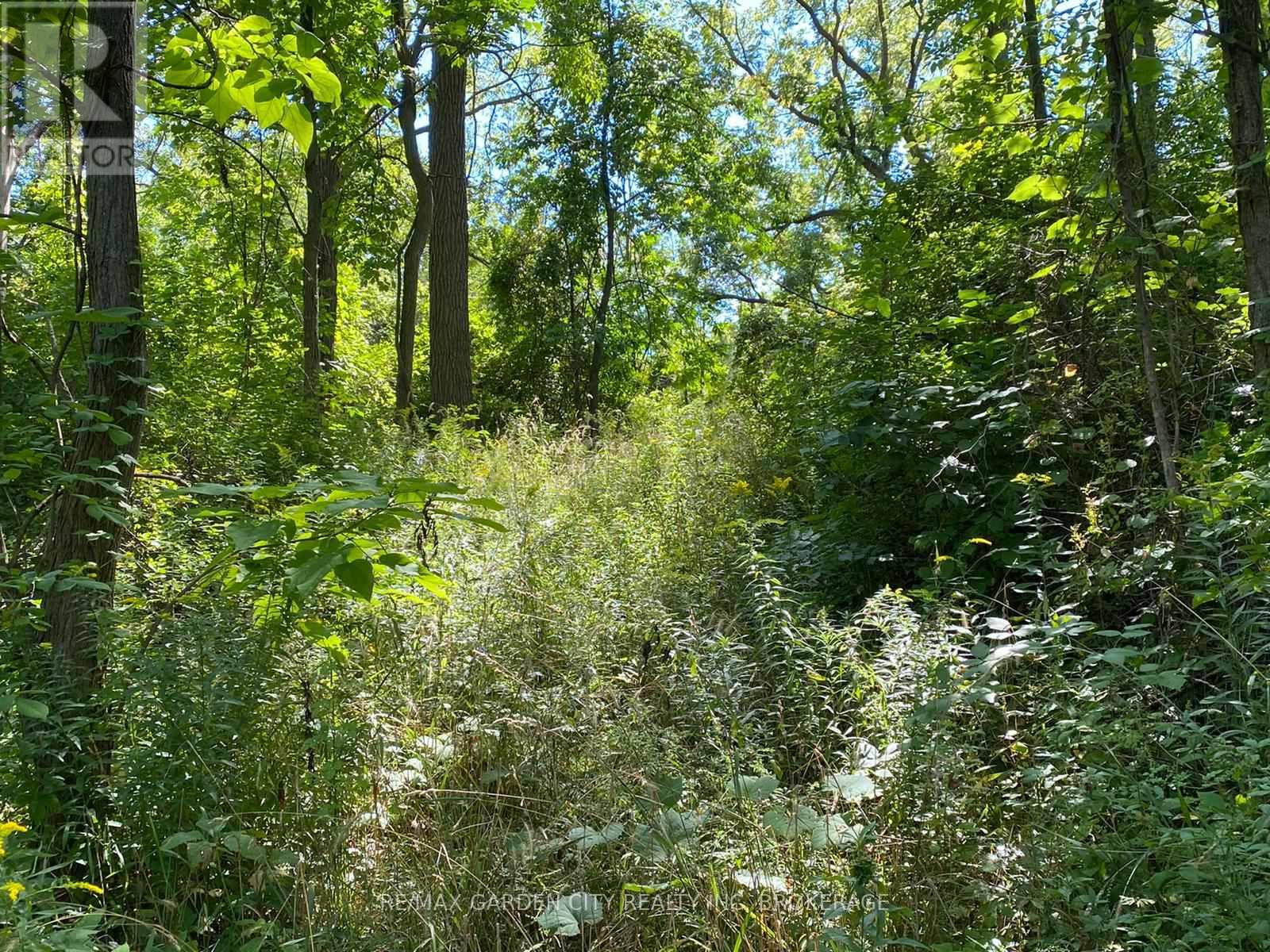 Pt Lt 3 Effingham Street, Pelham, Ontario  L2R 6P7 - Photo 7 - X12264575