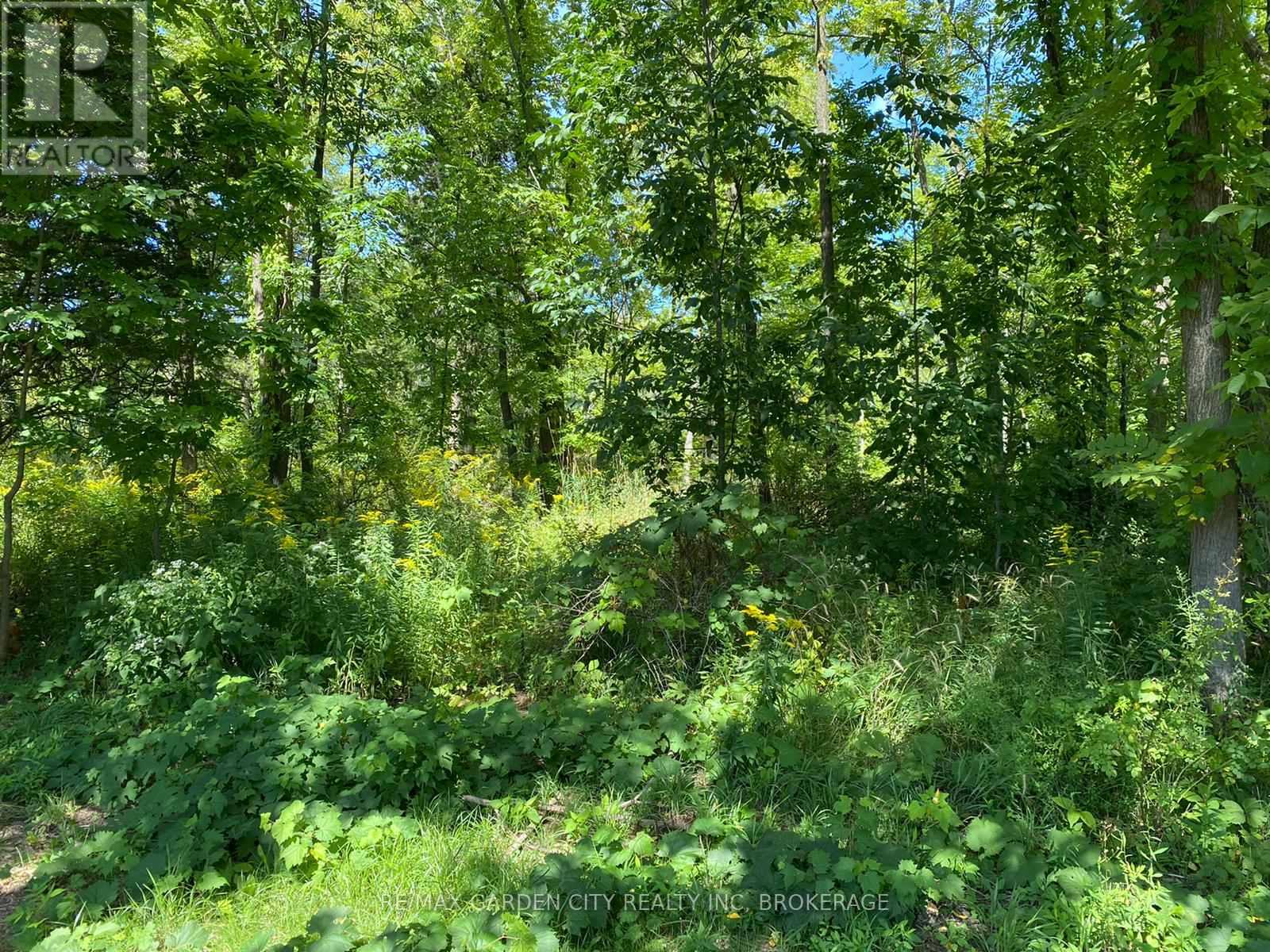 Pt Lt 3 Effingham Street, Pelham, Ontario  L2R 6P7 - Photo 9 - X12264575