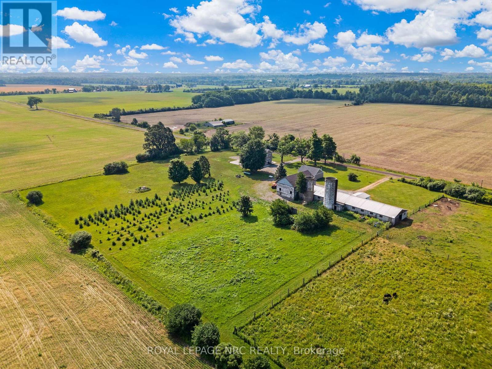 4692 Gilmore Road, Fort Erie, Ontario  L0S 1N0 - Photo 7 - X12281386