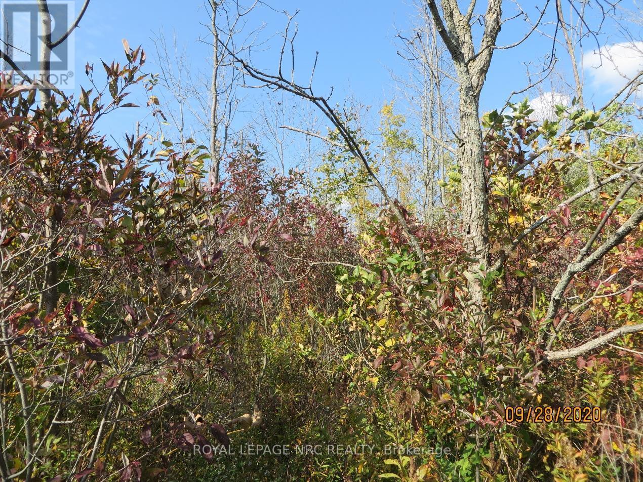 Lot 2 - 3779 Niagara Parkway, Fort Erie, Ontario  L2A 5M4 - Photo 10 - X12293404