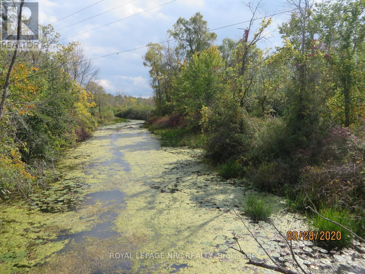 Lot 2 - 3779 Niagara Parkway, Fort Erie, Ontario  L2A 5M4 - Photo 11 - X12293404