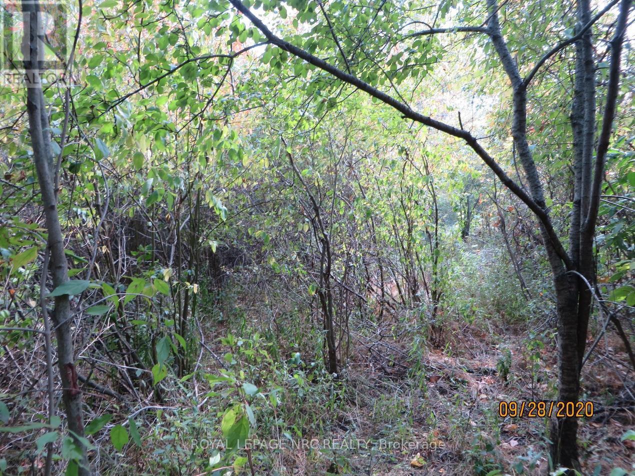 Lot 2 - 3779 Niagara Parkway, Fort Erie, Ontario  L2A 5M4 - Photo 6 - X12293404