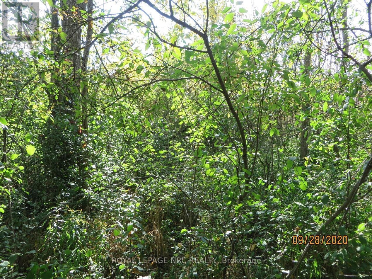 Lot 2 - 3779 Niagara Parkway, Fort Erie, Ontario  L2A 5M4 - Photo 8 - X12293404