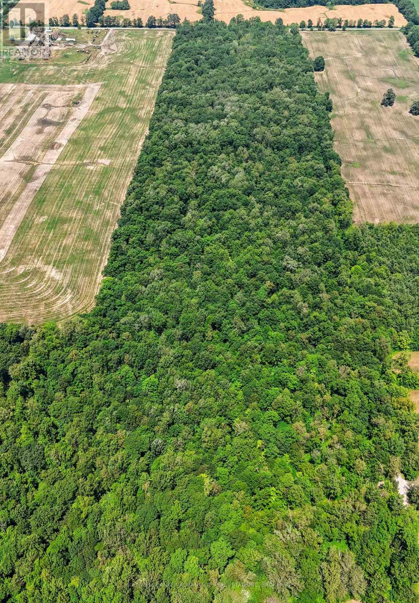 73325 HENDERSON ROAD, Wainfleet, Ontario