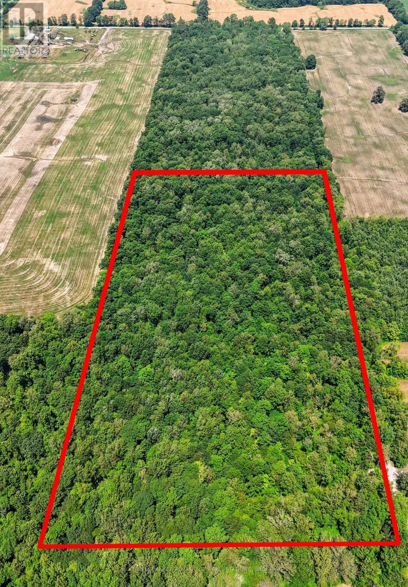 73325 Henderson Road, Wainfleet, Ontario  L0R 2J0 - Photo 2 - X12293707