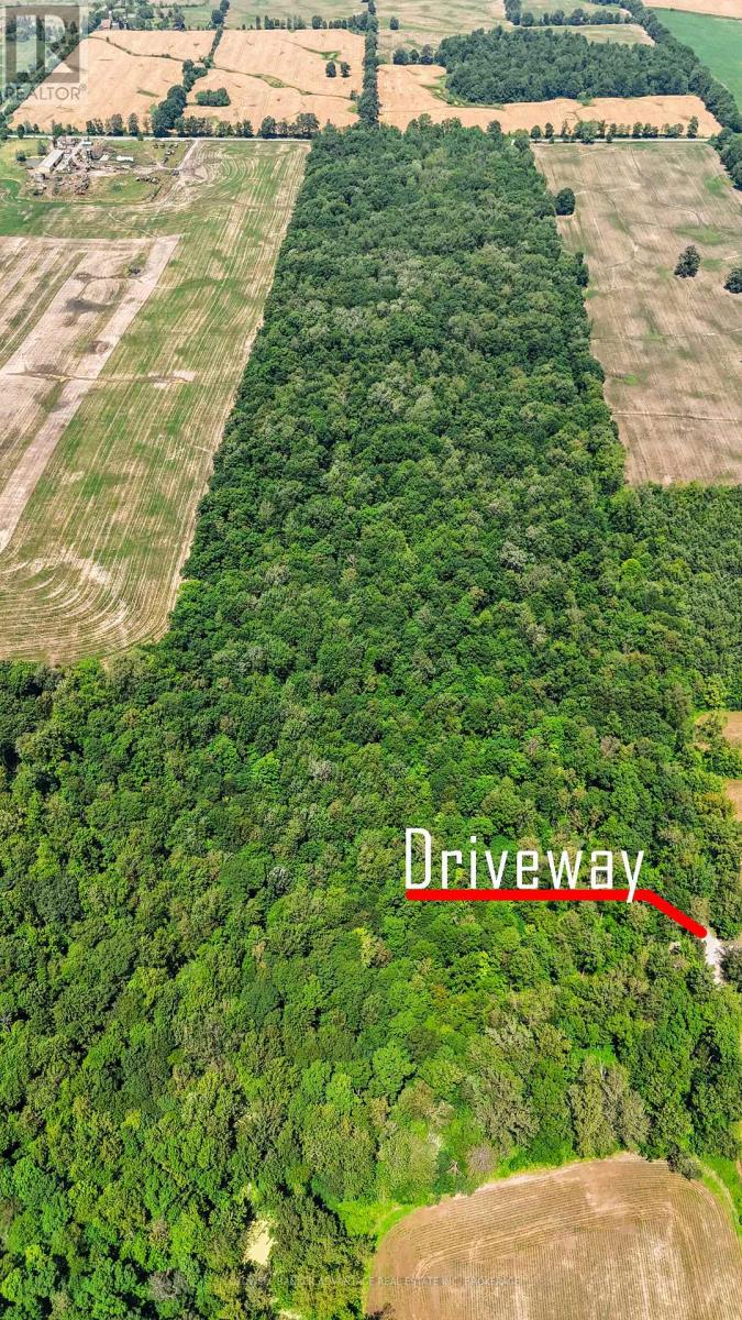 73325 Henderson Road, Wainfleet, Ontario  L0R 2J0 - Photo 3 - X12293707