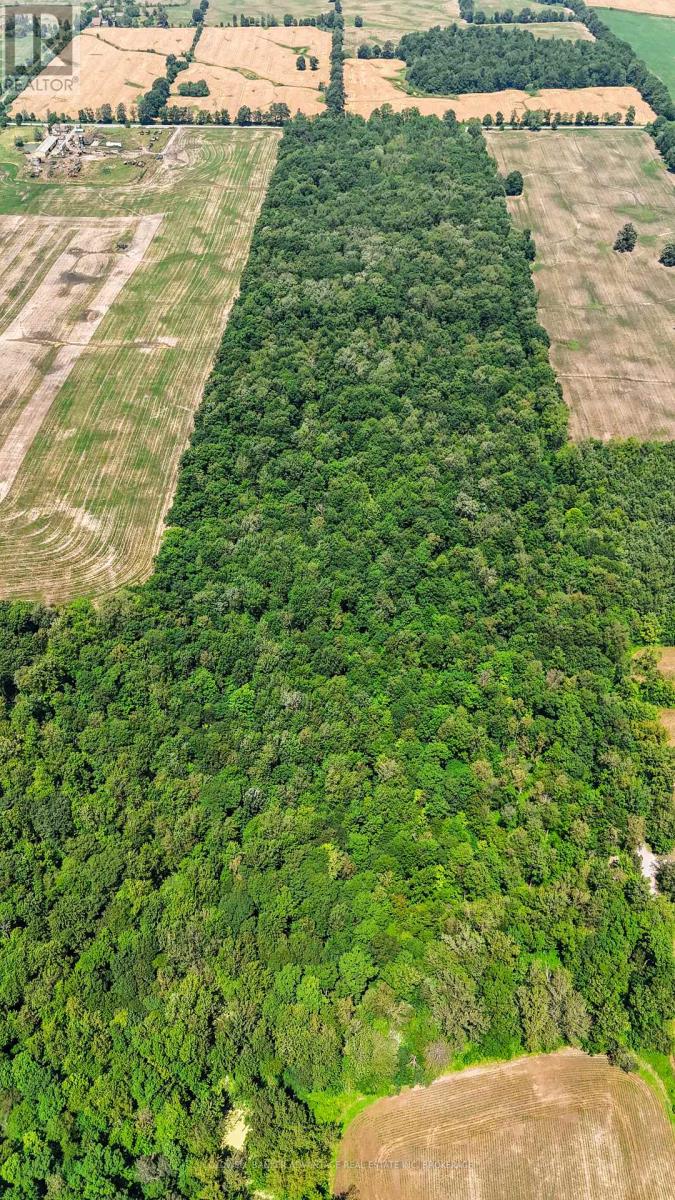 73325 Henderson Road, Wainfleet, Ontario  L0R 2J0 - Photo 4 - X12293707