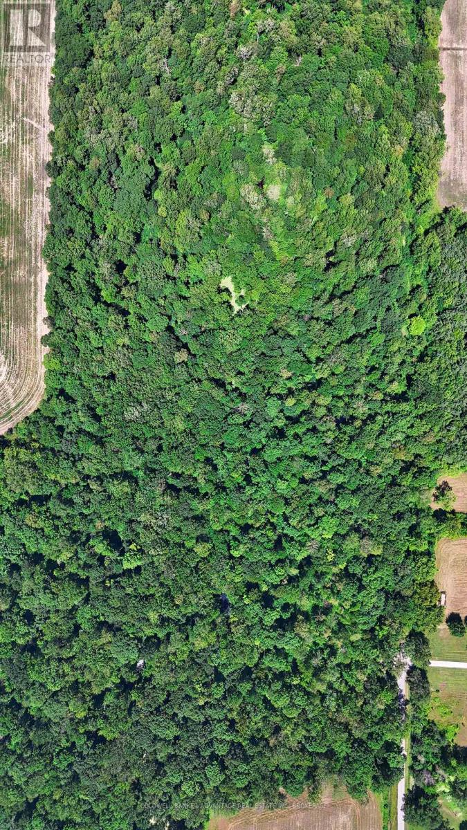 73325 Henderson Road, Wainfleet, Ontario  L0R 2J0 - Photo 5 - X12293707