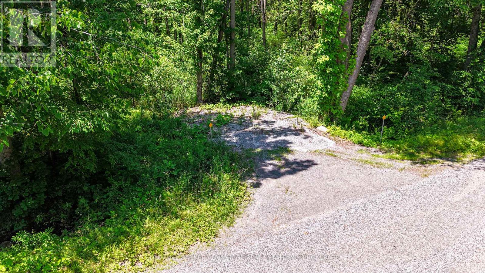 73325 Henderson Road, Wainfleet, Ontario  L0R 2J0 - Photo 6 - X12293707