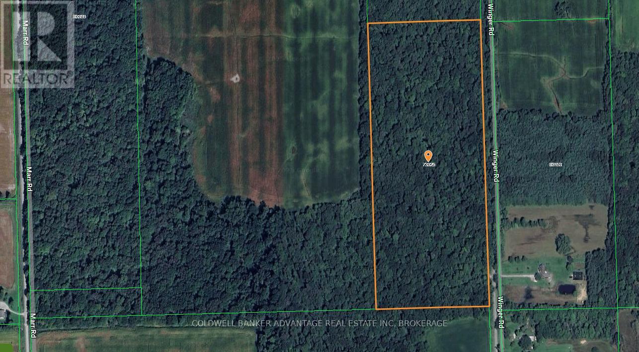 73325 Henderson Road, Wainfleet, Ontario  L0R 2J0 - Photo 7 - X12293707