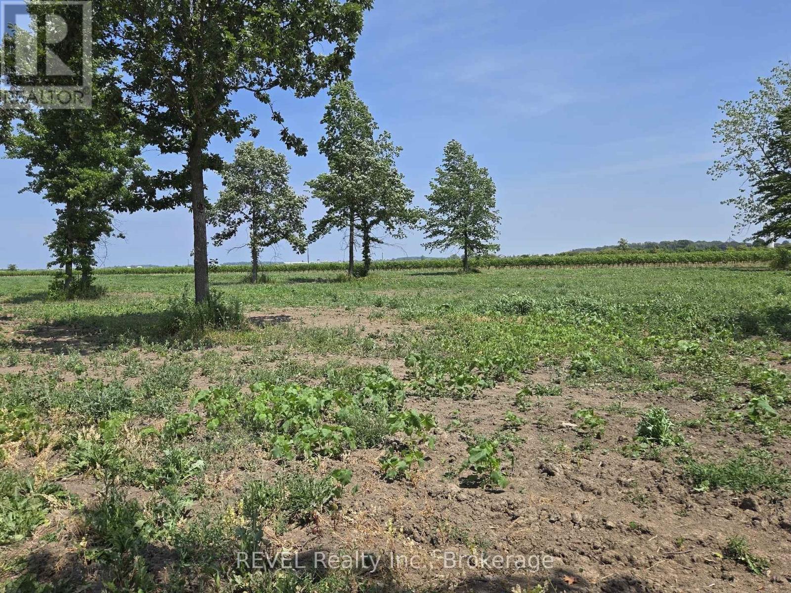 240 Eastchester Avenue, Niagara-On-The-Lake, Ontario  L0S 1J0 - Photo 10 - X12310379