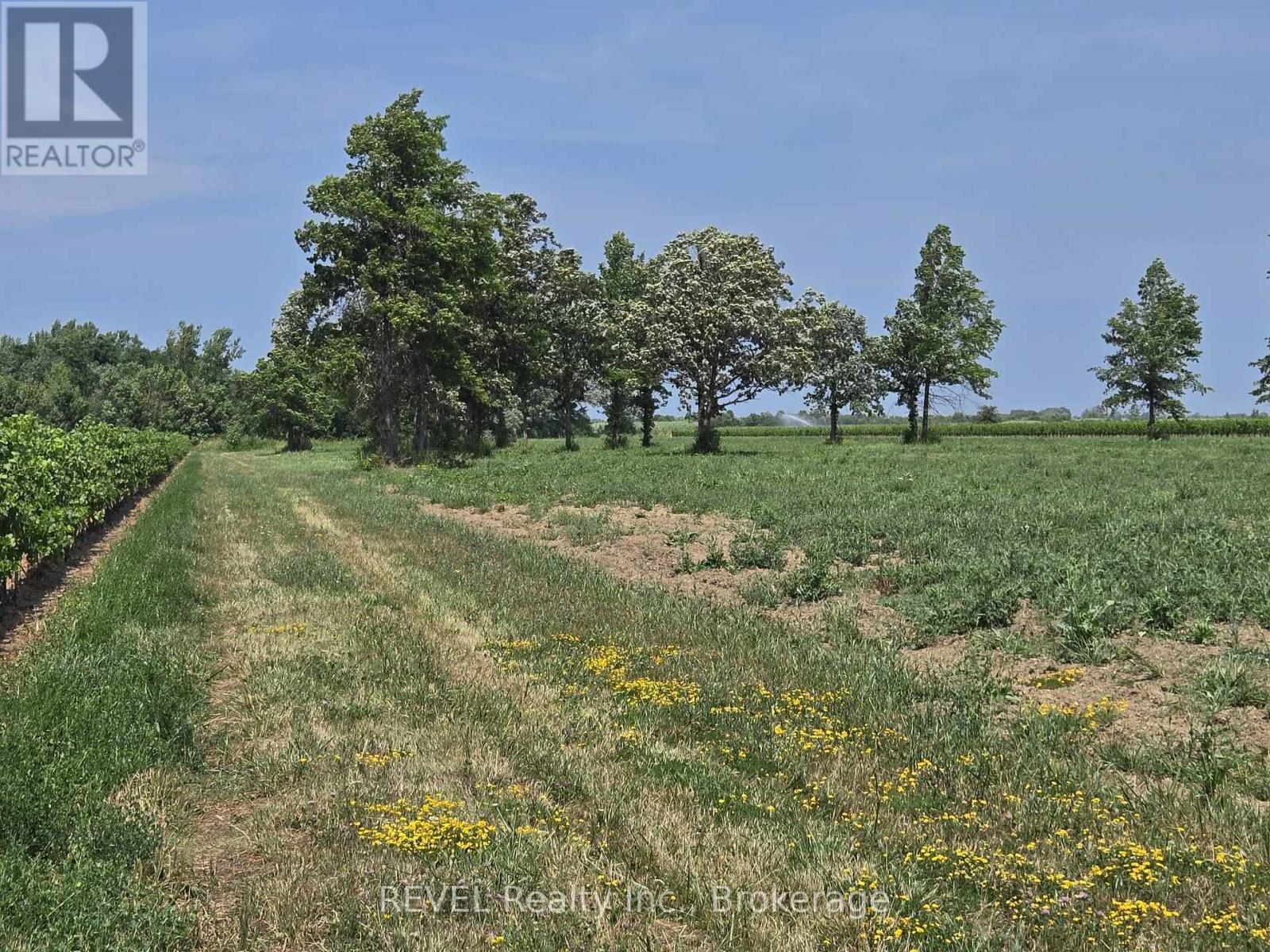 240 Eastchester Avenue, Niagara-On-The-Lake, Ontario  L0S 1J0 - Photo 12 - X12310379