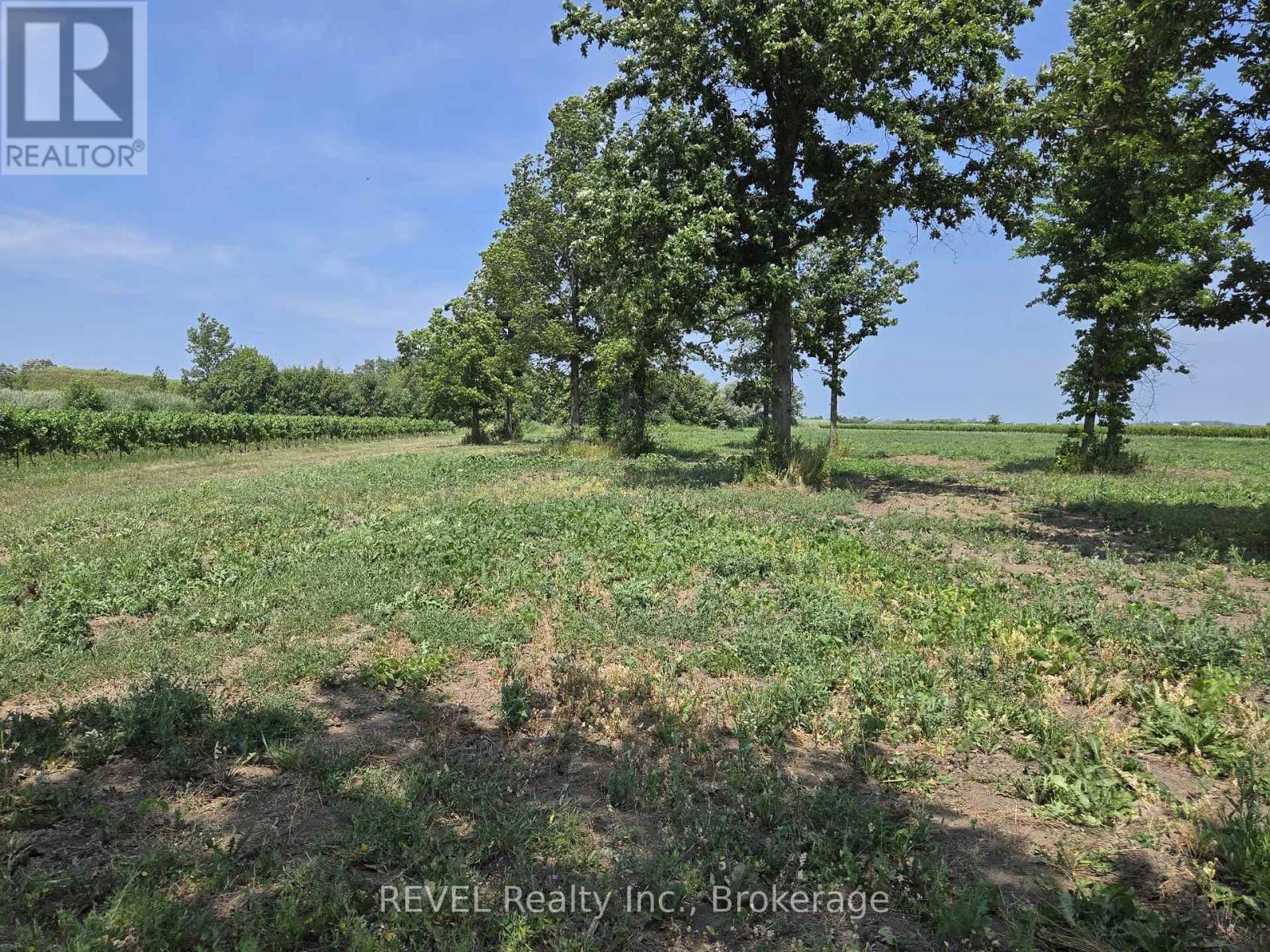 240 Eastchester Avenue, Niagara-On-The-Lake, Ontario  L0S 1J0 - Photo 4 - X12310379