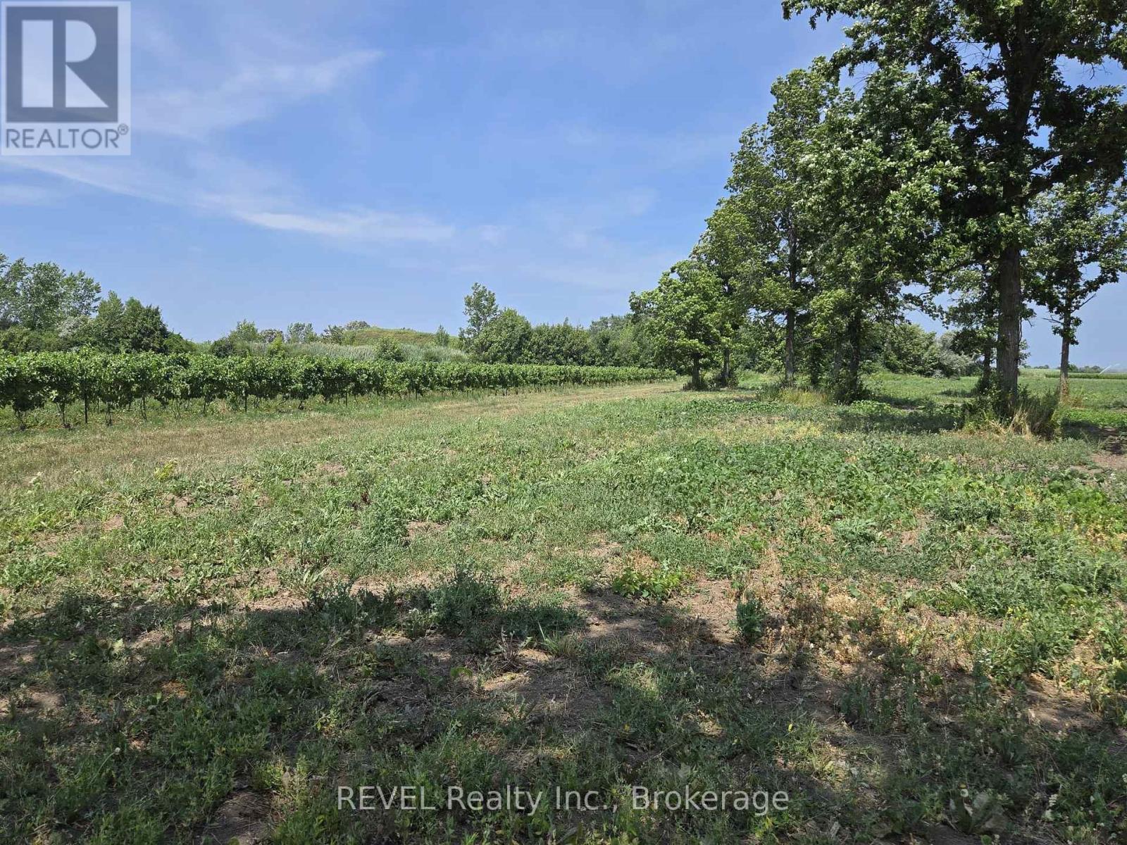 240 Eastchester Avenue, Niagara-On-The-Lake, Ontario  L0S 1J0 - Photo 6 - X12310379