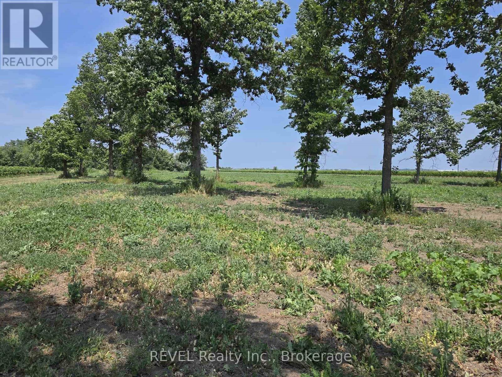 240 Eastchester Avenue, Niagara-On-The-Lake, Ontario  L0S 1J0 - Photo 7 - X12310379