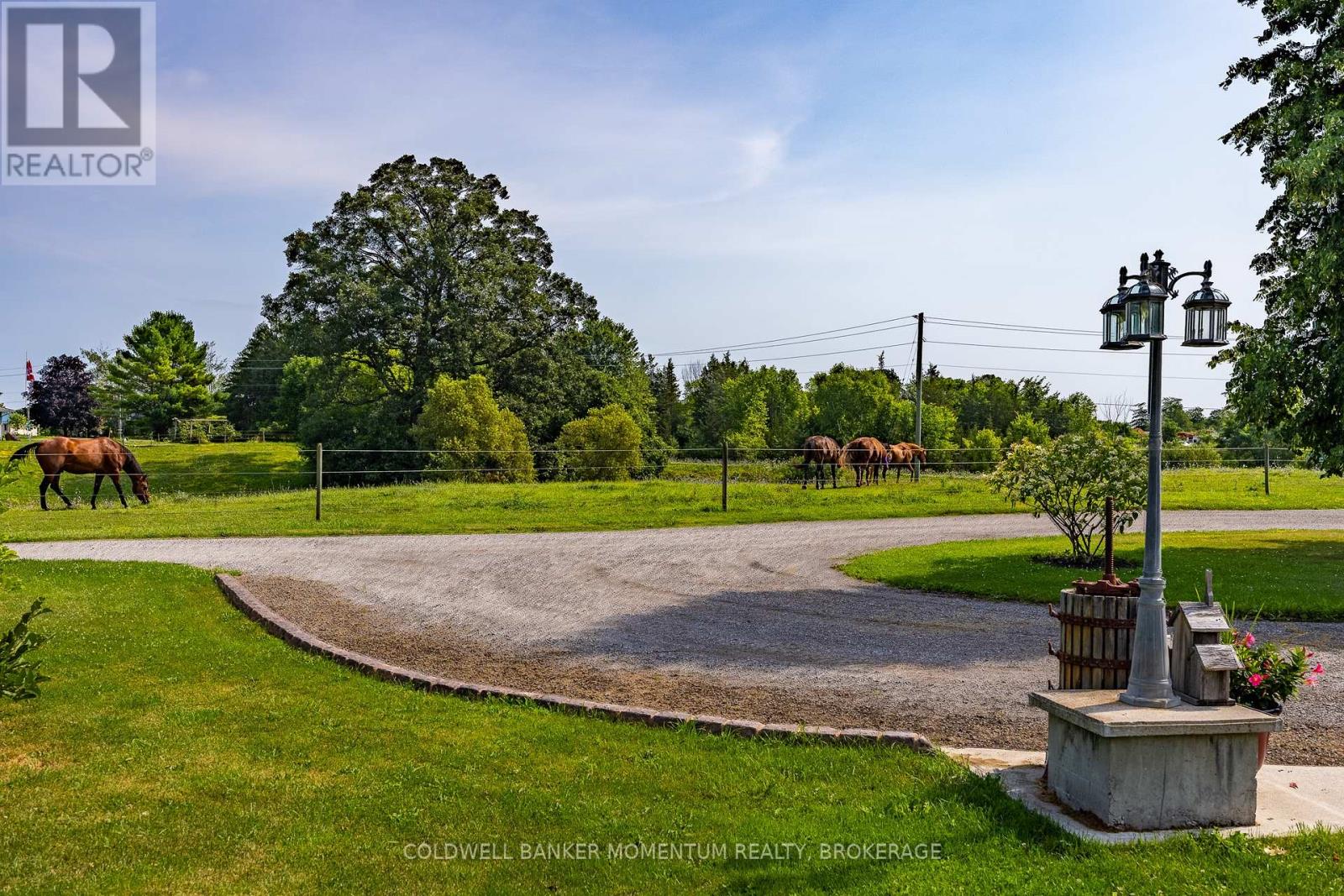 599 Cockshutt Road, Norfolk, Ontario  N0A 1N0 - Photo 49 - X12316591