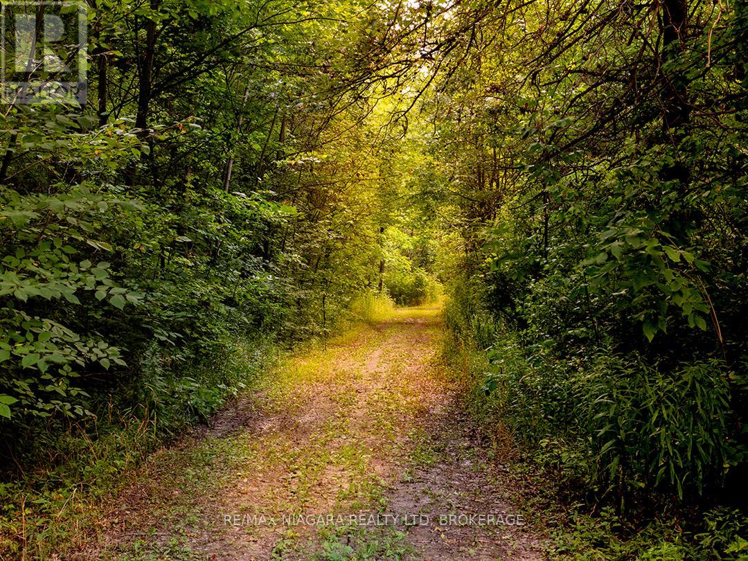 3481 Troup Road, Port Colborne, Ontario  L3K 5V5 - Photo 45 - X12348210