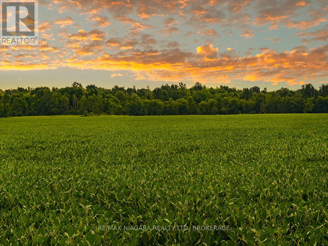3481 Troup Road, Port Colborne, Ontario  L3K 5V5 - Photo 46 - X12348210