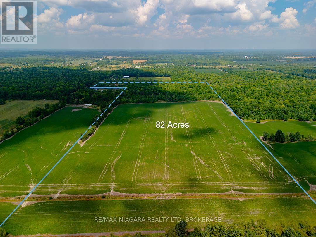 3481 Troup Road, Port Colborne, Ontario  L3K 5V5 - Photo 48 - X12348210