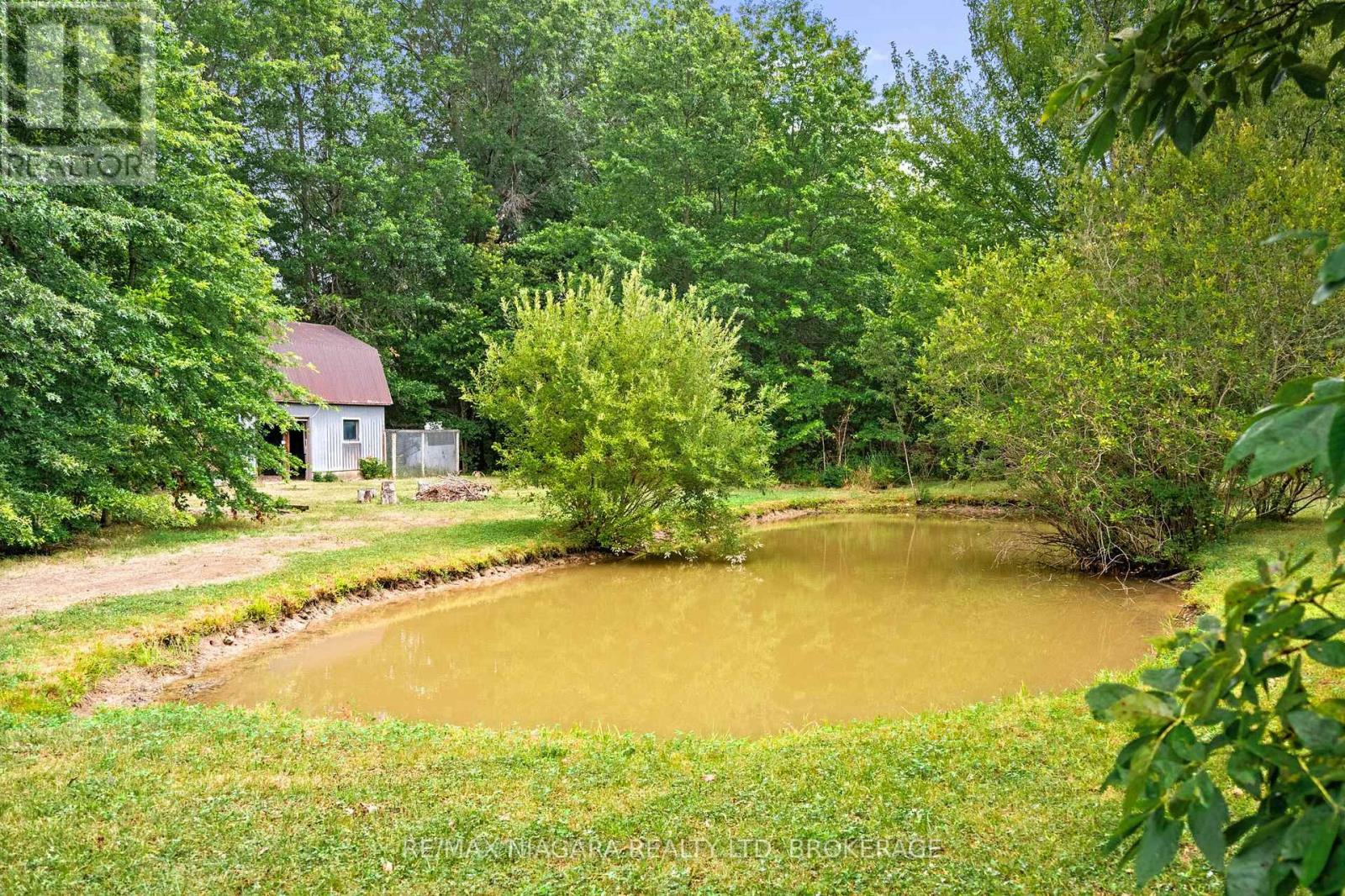 594 Doans Ridge Road, Welland, Ontario  L3B 5N7 - Photo 12 - X12352100