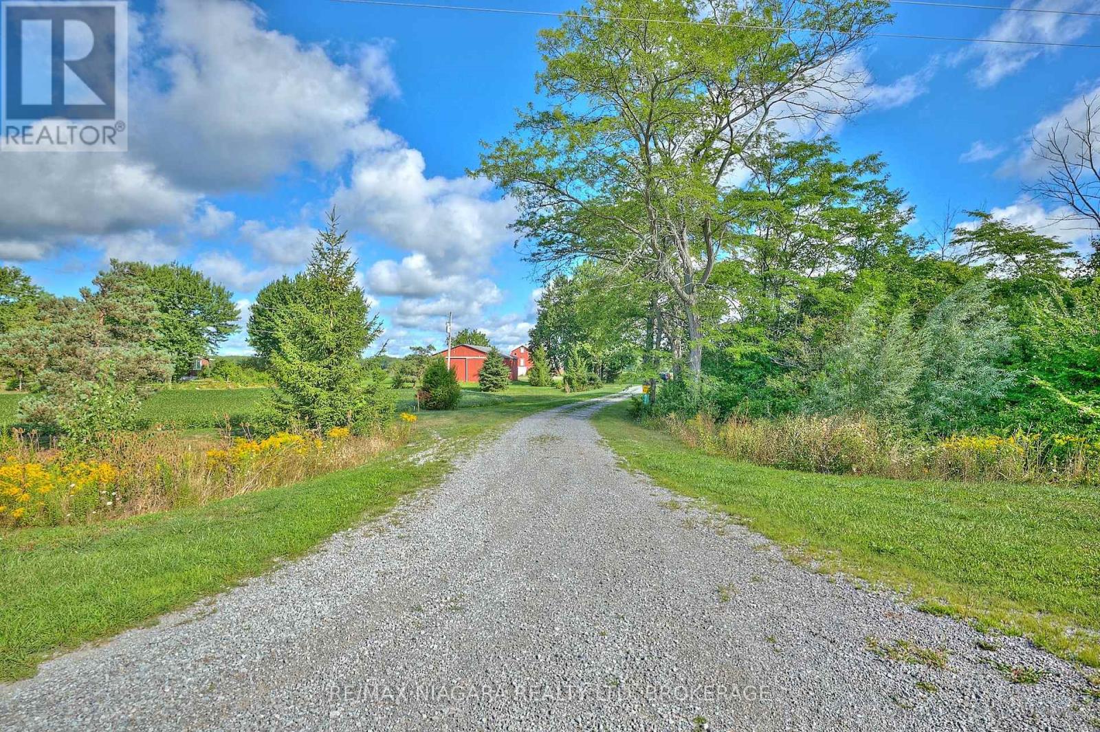 32626 Clarendon Street W, Wainfleet, Ontario  L0S 1V0 - Photo 36 - X12365740