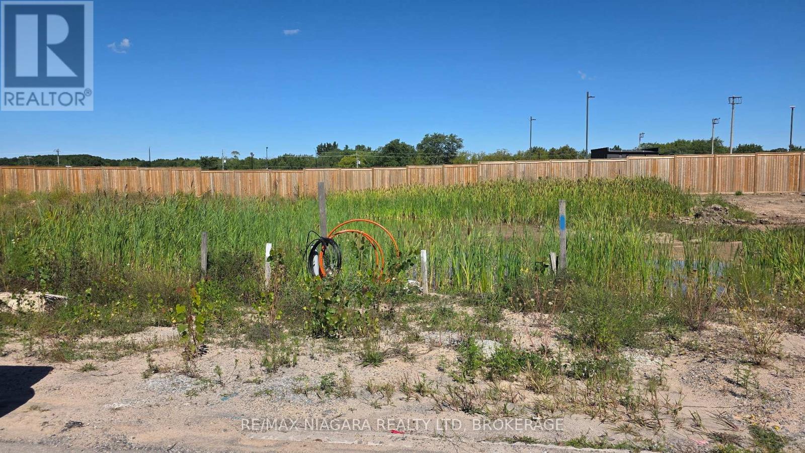 6172 Curlin Crescent, Niagara Falls, Ontario  L2H 0B8 - Photo 3 - X12373766