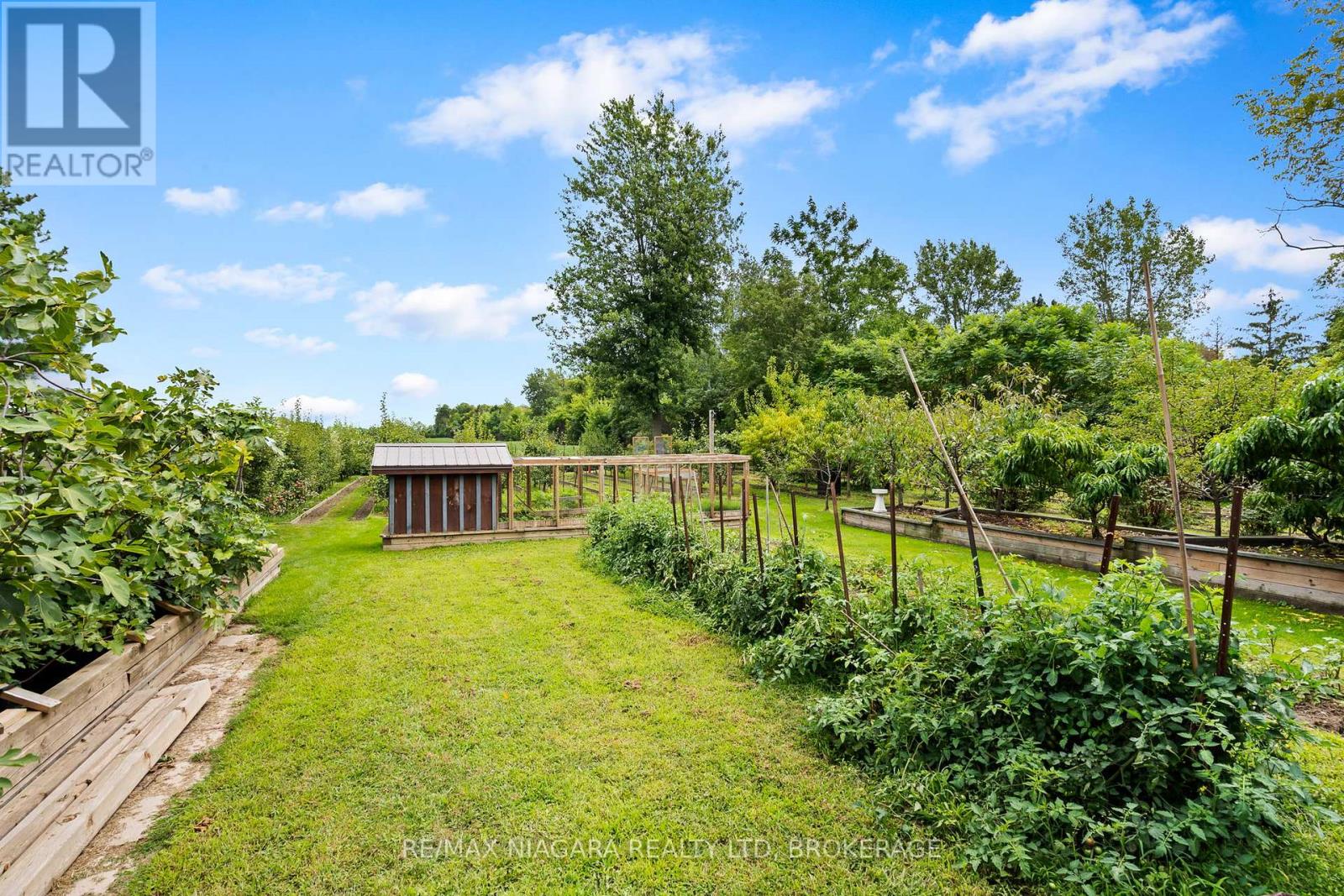 63023 Perry Road, Wainfleet, Ontario  L0R 2J0 - Photo 34 - X12378742