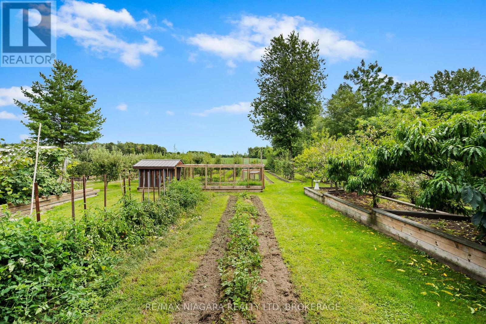 63023 Perry Road, Wainfleet, Ontario  L0R 2J0 - Photo 35 - X12378742