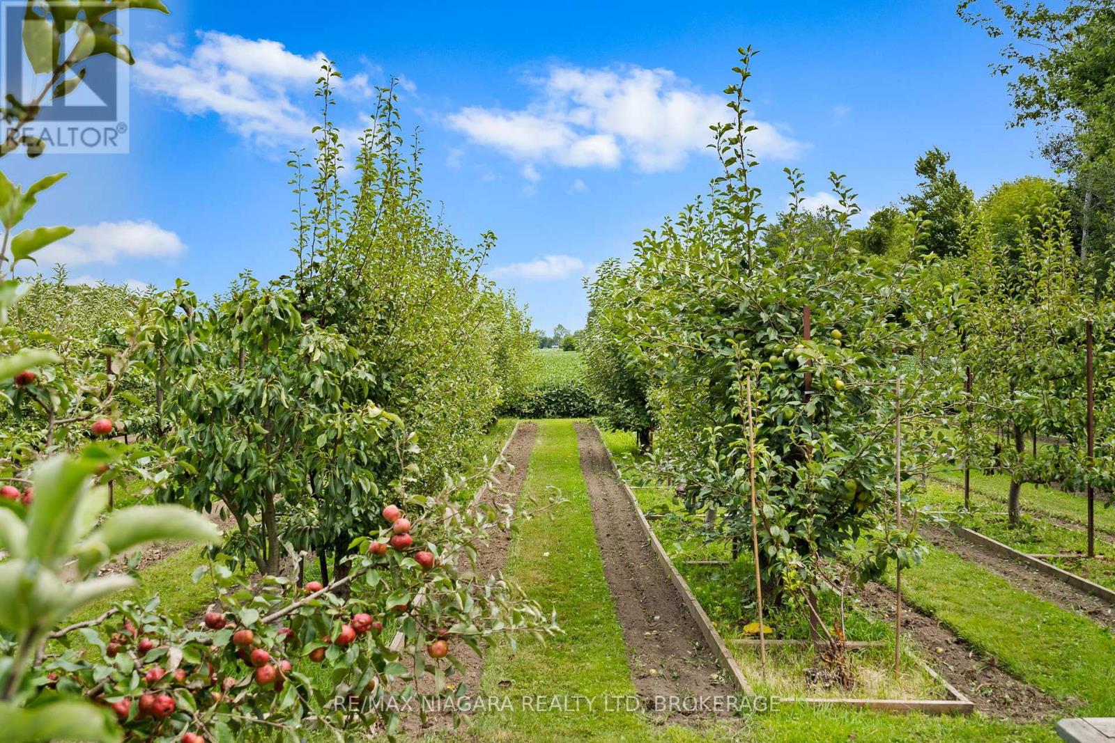 63023 Perry Road, Wainfleet, Ontario  L0R 2J0 - Photo 36 - X12378742