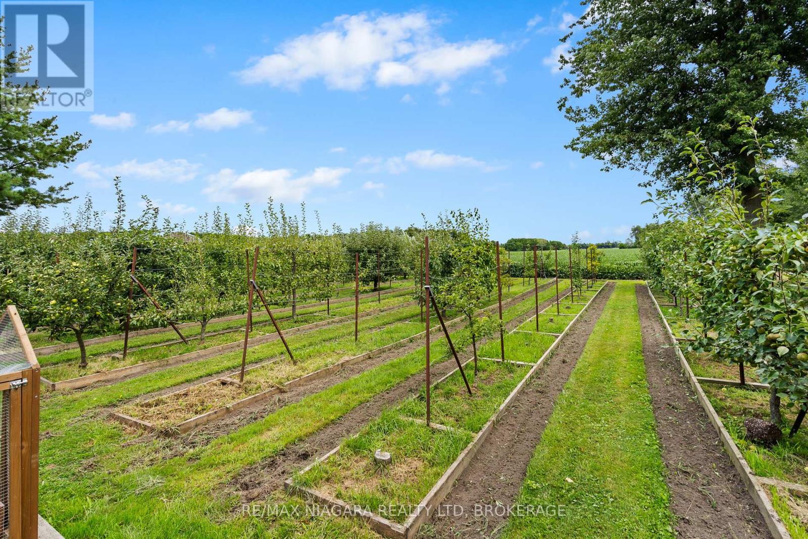 63023 Perry Road, Wainfleet, Ontario  L0R 2J0 - Photo 37 - X12378742